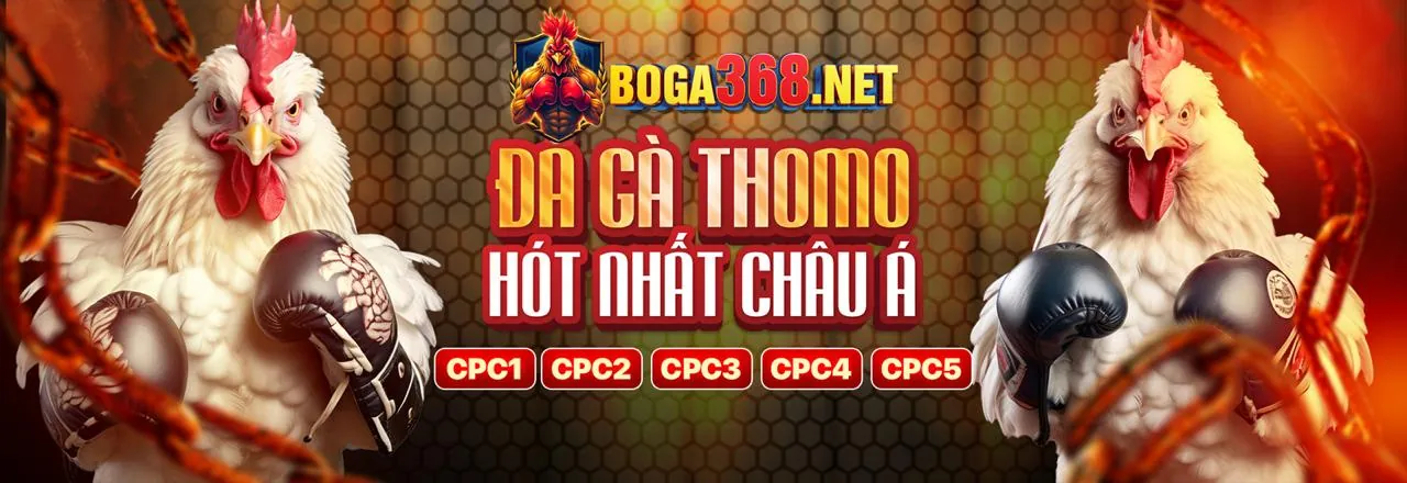 Hoàn Trả Hàng Tuần Lên Đến 1.5% Không Giới Hạn